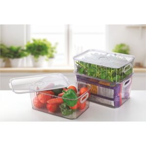 Harmony Basket (With Lid)